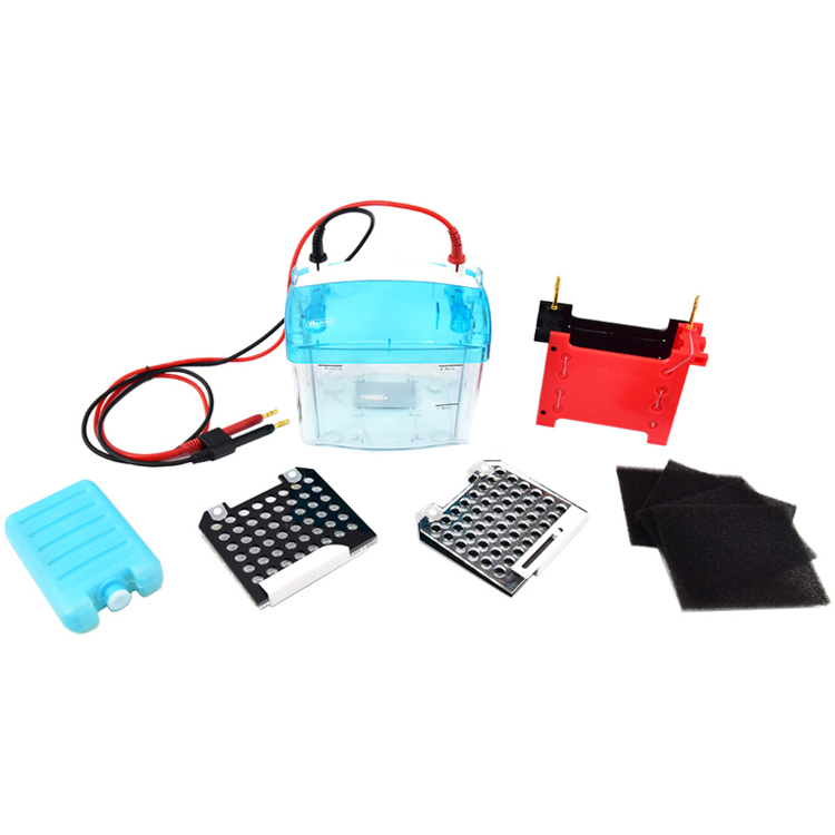 北京六一DYCZ-TRANS2型轉(zhuǎn)印電泳儀